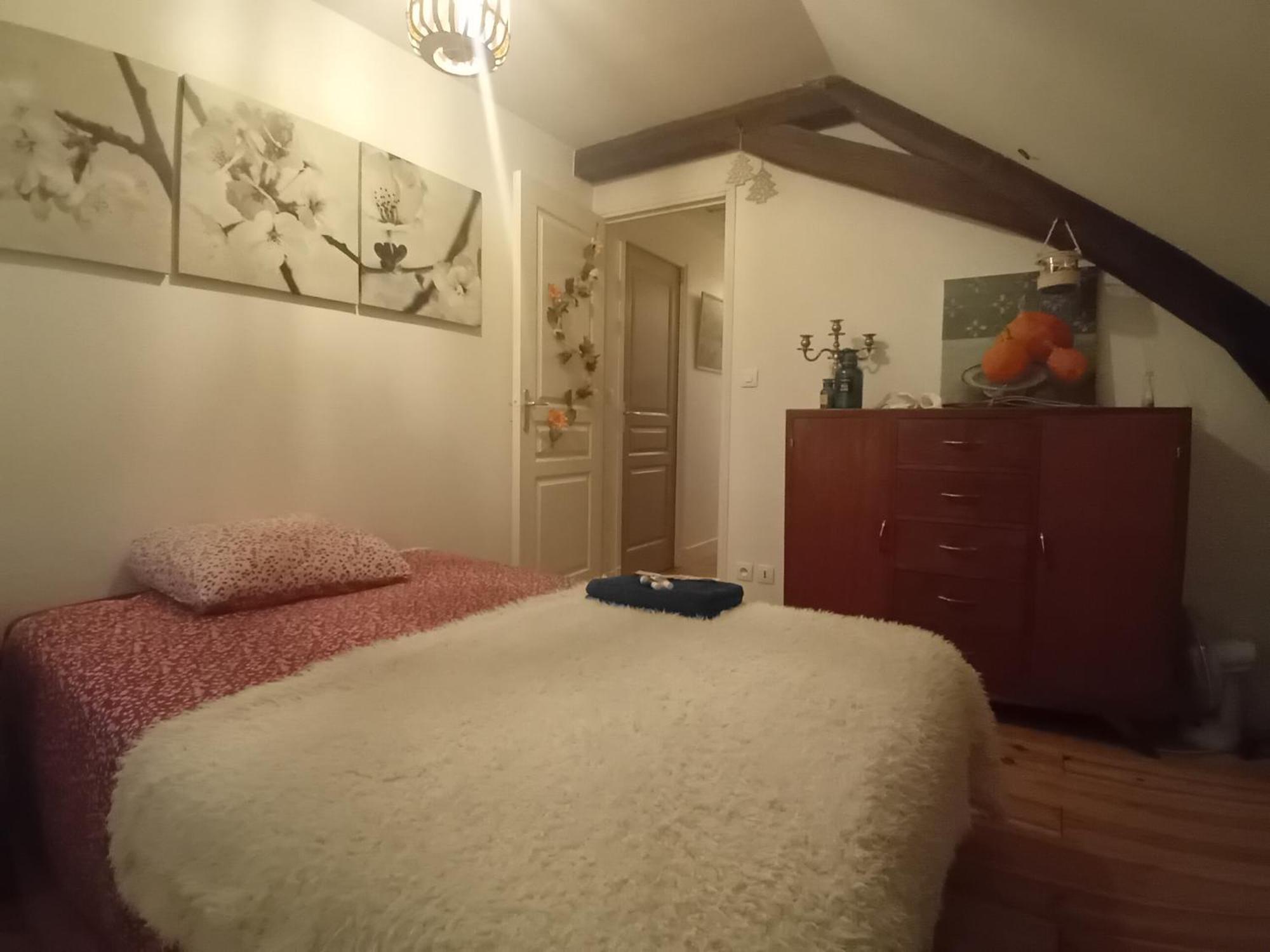 Chez Isa Chambre Chez L'Habitant Emma Montlouis-sur-Loire Zewnętrze zdjęcie